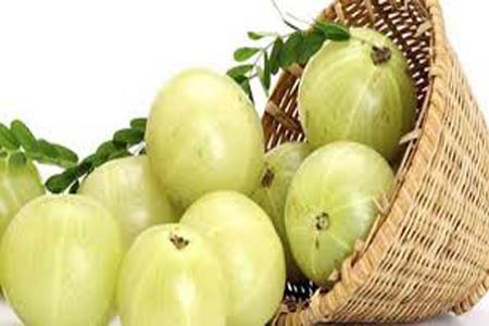 আমলকির গুনাগুণ