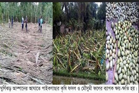 আম্পানে ফসল ও মৎস্য