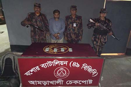 বেনাপোলে ৩০ হাজার ডলারসহ আটক