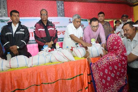 বন্যাকবলিত এলাকা পরিদর্শন