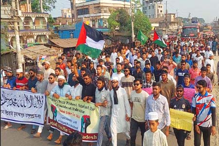 কালীগঞ্জে ছাত্র-জনতার বিক্ষোভ