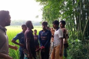 নেশাগ্রস্থ ছেলের হাতে মা খুন, অভিযুক্ত আটক