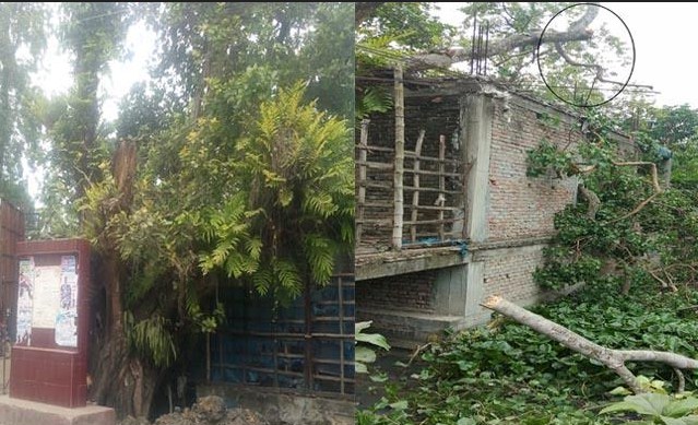 ঘূর্ণিঝড় আমফানে ১৯টি ঝুঁকিপূর্ণ পয়েন্ট, ১০৯ টি আশ্রয় কেন্দ্র প্রস্তুত আশাশুনিতে