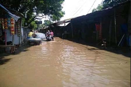 বেড়িবাঁধ ভেঙে পানিবন্দি