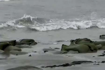 ঘূর্ণিঝড় হামুন