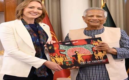 হাই কমিশনারে সাক্ষাৎ