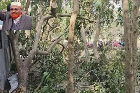 গাছ চাপা পড়ে আ.লীগ নেতার মৃত্যু