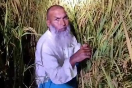 ধানক্ষেতে আত্মগোপনে থেকেও শেষ রক্ষা হলো না, আওয়ামী লীগ নেতা গ্রেপ্তার