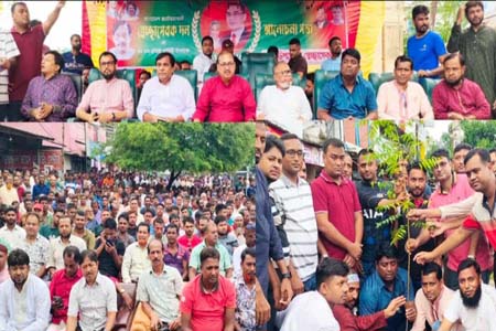 বাগাআঁচড়ায় জাতীয়তাবাদী স্বেচ্ছাসেবক দলের ৪৫তম প্রতিষ্ঠা বার্ষিকী