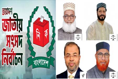 নব্য বিএনপি প্রার্থীর পরাজয়