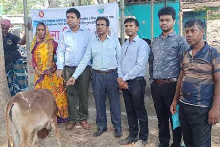 শ্যামনগরে ক্ষুদ্র-নৃগোষ্ঠীর  মাঝে ৭২টি বকনা গরু বিতরণ