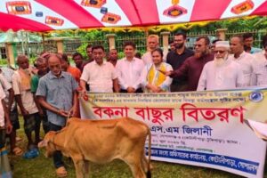 কোটালীপাড়ায় নিবন্ধিত জেলেদের মাঝে বকনা বাছুর বিতরণ