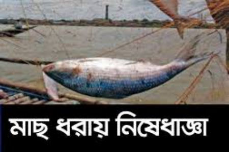 আজ থেকে ৩০ জুলাই পর্যন্ত সব ধরণের মাছ ধরায় নিষেধাজ্ঞা