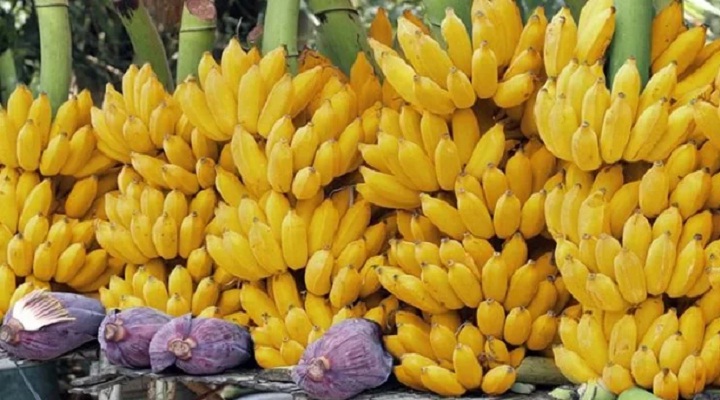 ৩০ দিন ধরে প্রতিদিন কলা খেলে কী হবে