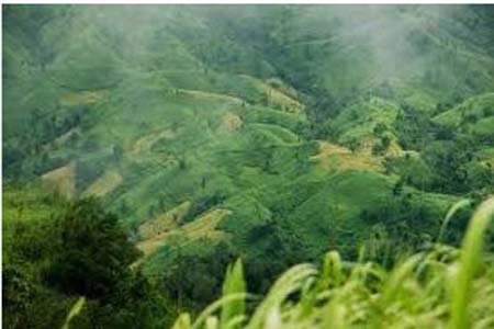 বান্দরবান