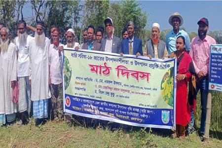 বারি সরিষা ১৮