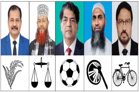 বরিশাল-১ আসনে উৎসবমুখর