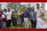মাদারীপুরের ডাসারে বসুন্ধরা শুভসংঘের বৃক্ষরোপণ কর্মসূচি পালিত
