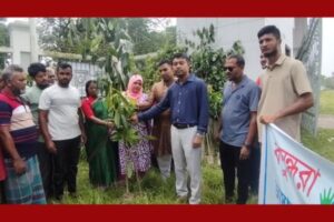 মাদারীপুরের ডাসারে বসুন্ধরা শুভসংঘের বৃক্ষরোপণ কর্মসূচি পালিত