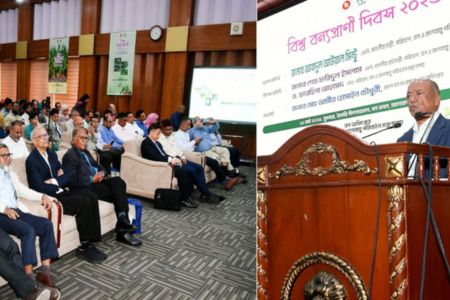 পাঁচ বছরে ২৫ কোটি গাছের চারা রোপণের পরিকল্পনা সরকারের - পরিবেশ মন্ত্রী