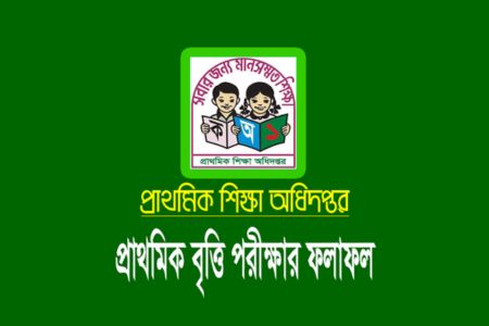 প্রাথমিক বৃত্তি পরীক্ষায় উত্তীর্ণ