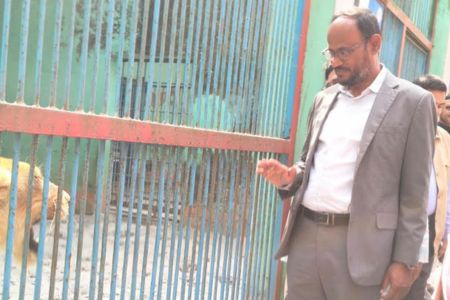 চিড়িয়াখানাকে আন্তর্জাতিক মানে উন্নীত করতে কাজ করছে সরকার