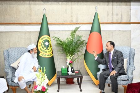 উন্নয়নমূলক কাজে ইউনিয়নভিত্তিক কমিটি গঠন করা হবে - ডেপুটি স্পিকার