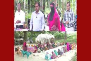 বেনাপোলে স্বাবলম্বী হতে আলোকিত নারী পথ দেখাচ্ছে ৫ শতাধিক নারীকে