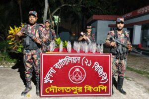 বেনাপোল দৌলতপুর সিমান্ত এলাকায় বিজিবি অভিযানে ৩৪ বোতল ভারতীয় পাঞ্চ মদ উদ্ধার