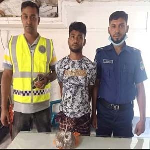 বেনাপোলে গাঁজা সহ মাদক পাচারকারী আটক 