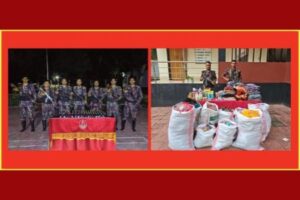 বেনাপোলে বিজিবি অভিযানে মাদকদ্রব্য ও চোরাচালান পণ্য আটক