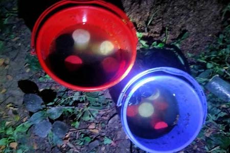 বেনাপোল বন্দর এলাকায়  আবারও ২৫ টি ককটেল উদ্ধার
