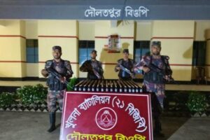 বেনাপোল সীমান্তে বিজিবির অভিযানে ২৭০ বোতল ভারতীয় উইনিক্স সিরাপ উদ্ধার