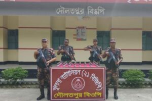 বেনাপোল দৌলতপুর সিমান্ত এলাকায় বিজিবি অভিযানে ৫০ বোতল ভারতীয় উইনিক্স সিরাপ উদ্ধার