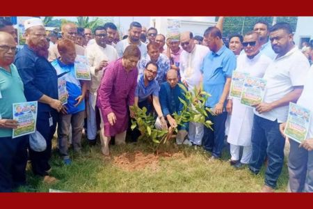 সবুজ বাংলাদেশ গড়ার প্রত্যয়ে বেনাপোলে বৃক্ষরোপণ কর্মসূচি