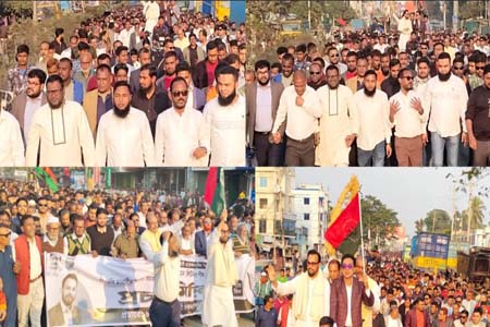 ধানের শীষের প্রচার মিছিল