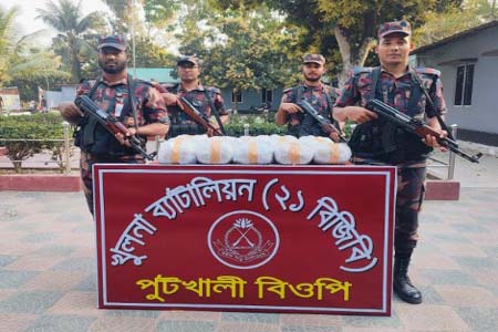 বিজিবি অভিযানে ৩০ কেজি গাঁজা