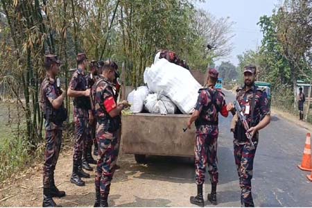 বিজিবির তৎপরতা জোরদার