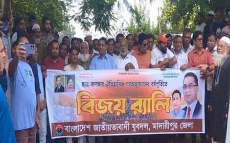 সন্ত্রাসীরা বিশৃঙ্খলা
