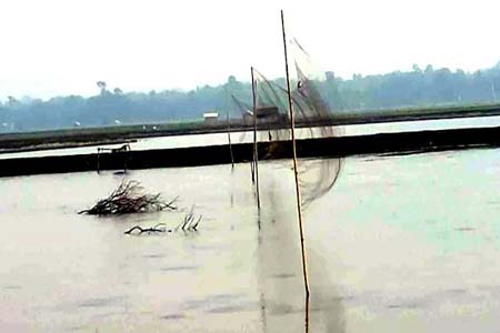 অবাধে পাখি শিকার
