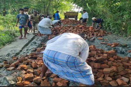  নোয়াখালীতে বিএনপি নেতার উদ্যোগে সড়ক সংস্কার