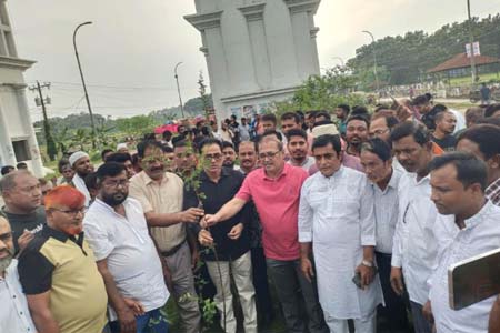 বৃক্ষরোপণ কর্মসূচি