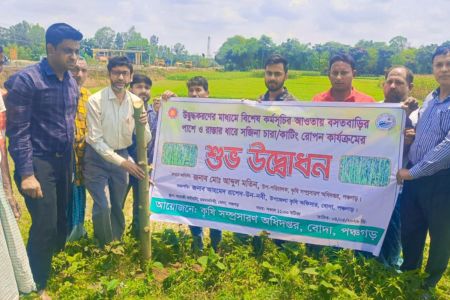 পঞ্চগড়ের বোদায় সজিনা চারা রোপণ কার্যক্রমের উদ্বোধন