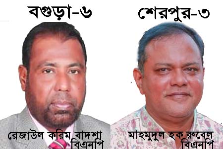 বিএনপি প্রার্থীদের জয়