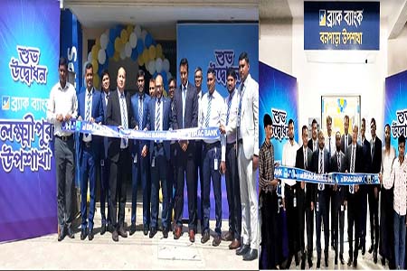 ব্র্যাক ব্যাংক এর উপশাখা