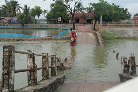কপোতাক্ষের ভয়াবহ ভাঙ্গন