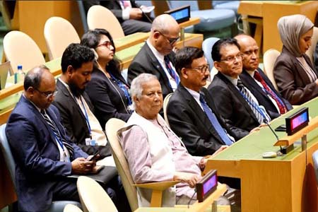রোহিঙ্গা সংকটের উৎপত্তি