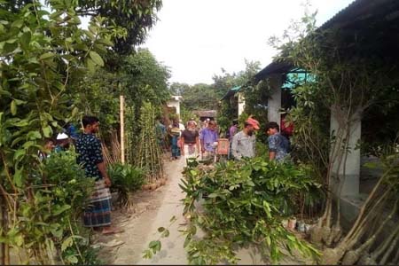 হাট জমে উঠেছে