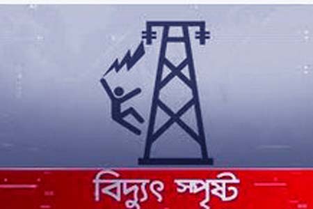 বিদ্যুৎ কর্মীর মৃত্যু