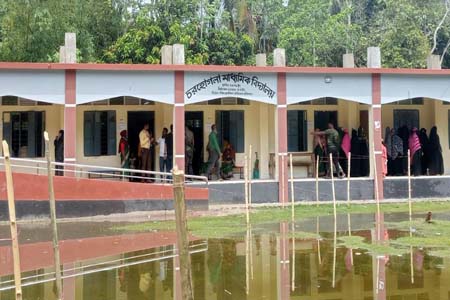 ভোটার উপস্থিতি